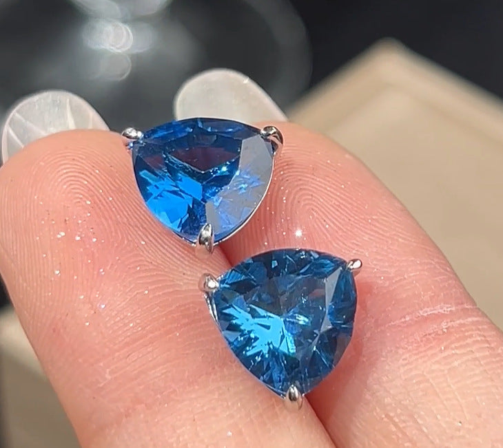 Earrings E25420001075