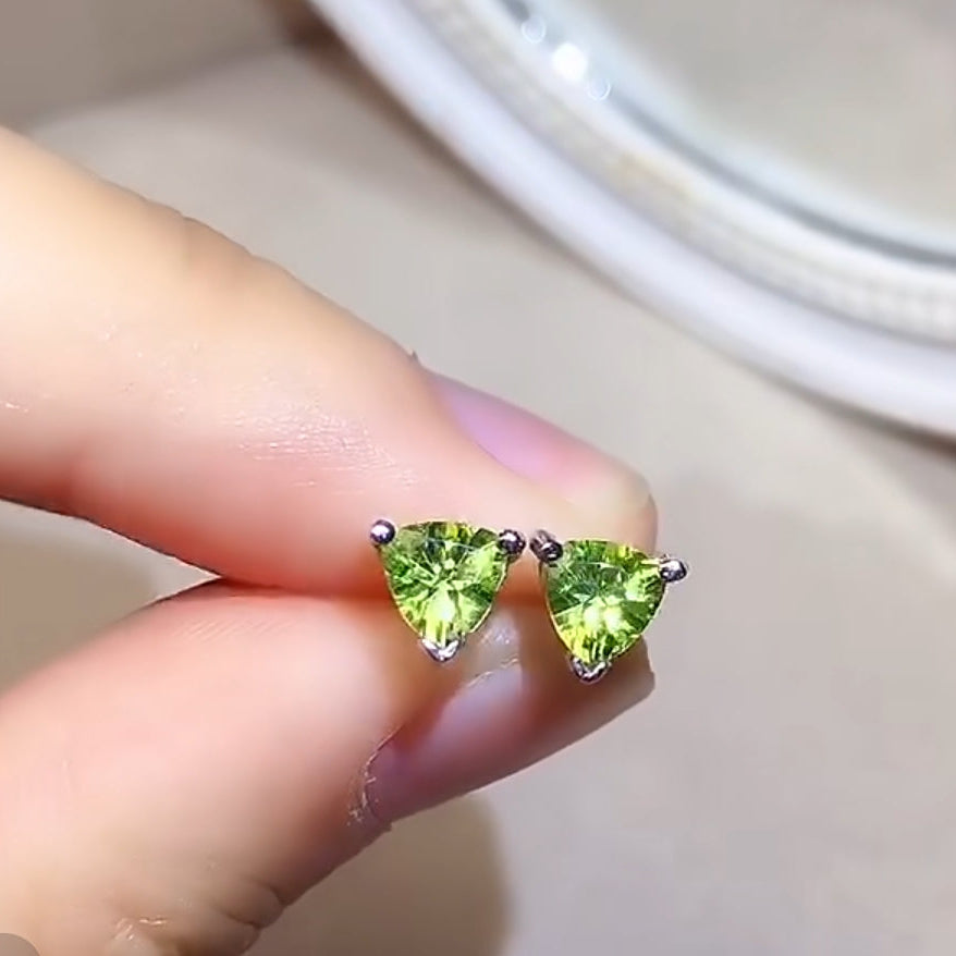 Earrings E25422002100