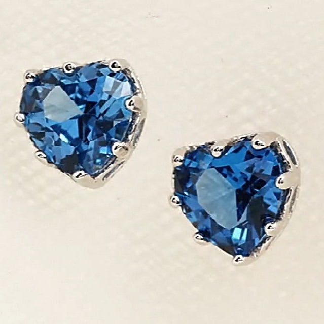 Earrings E25422001100