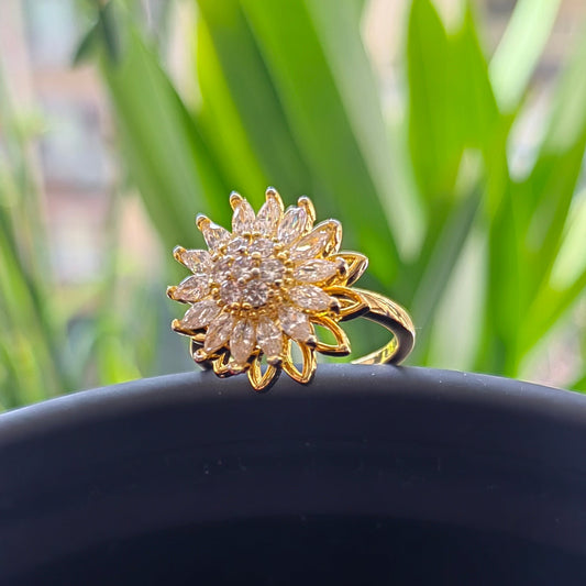 Ring p004