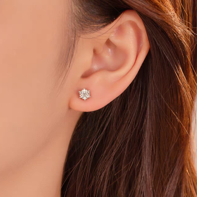 Earrings E102063