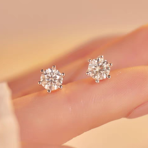 Earrings E102063